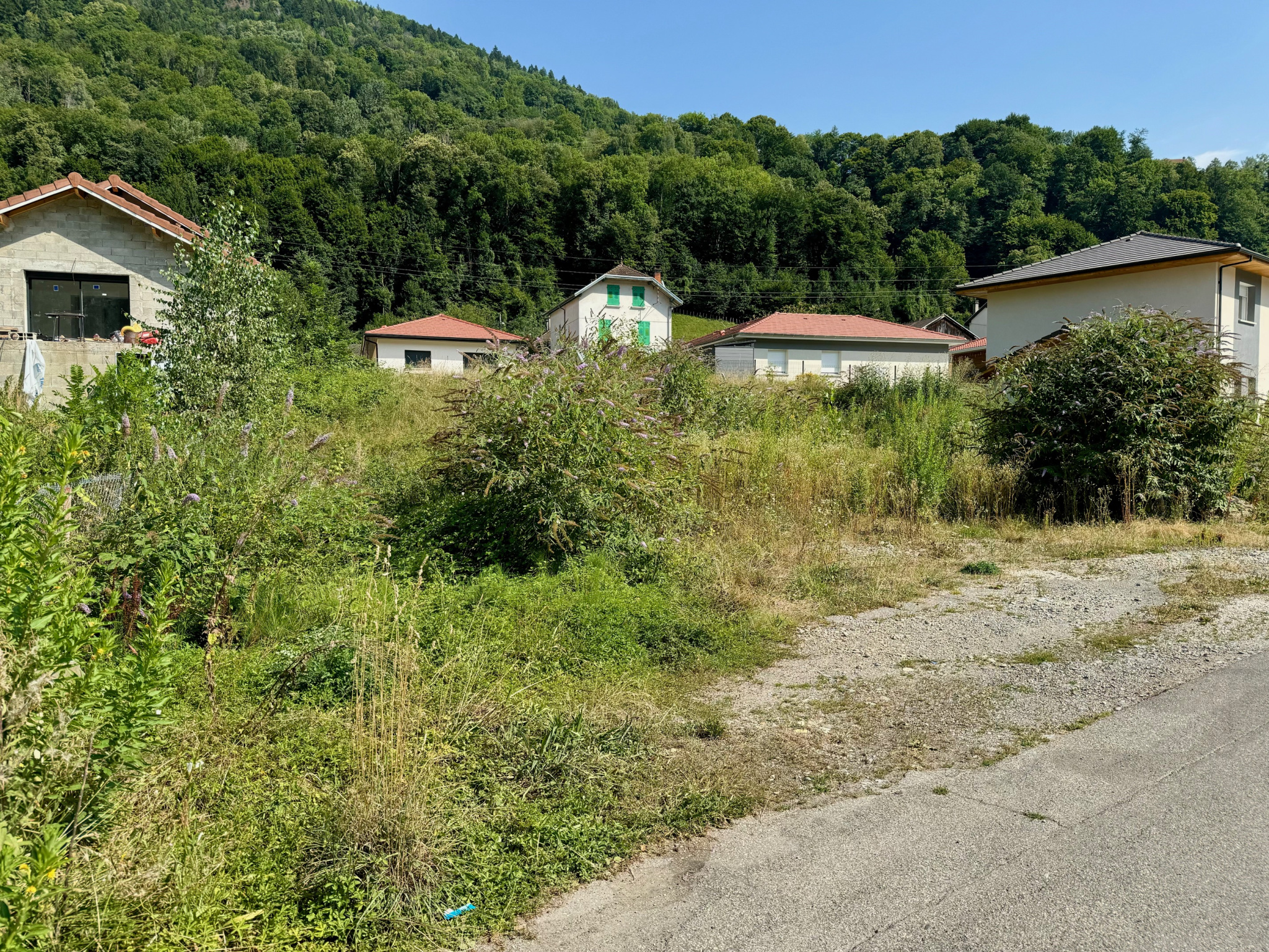 Photo 1