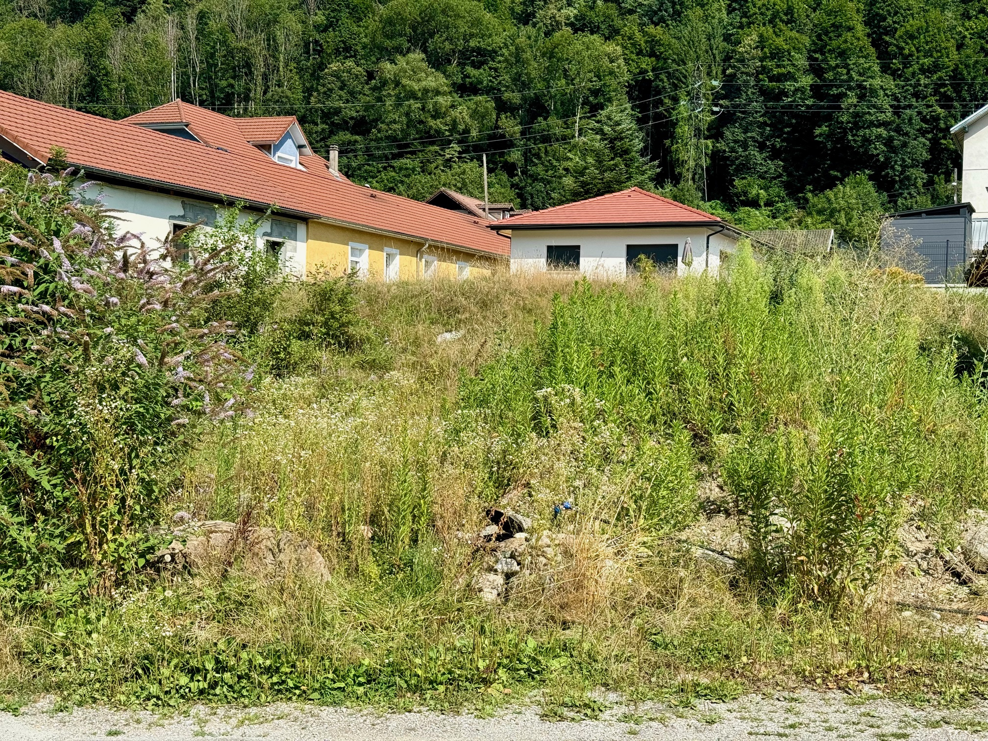 Photo 5