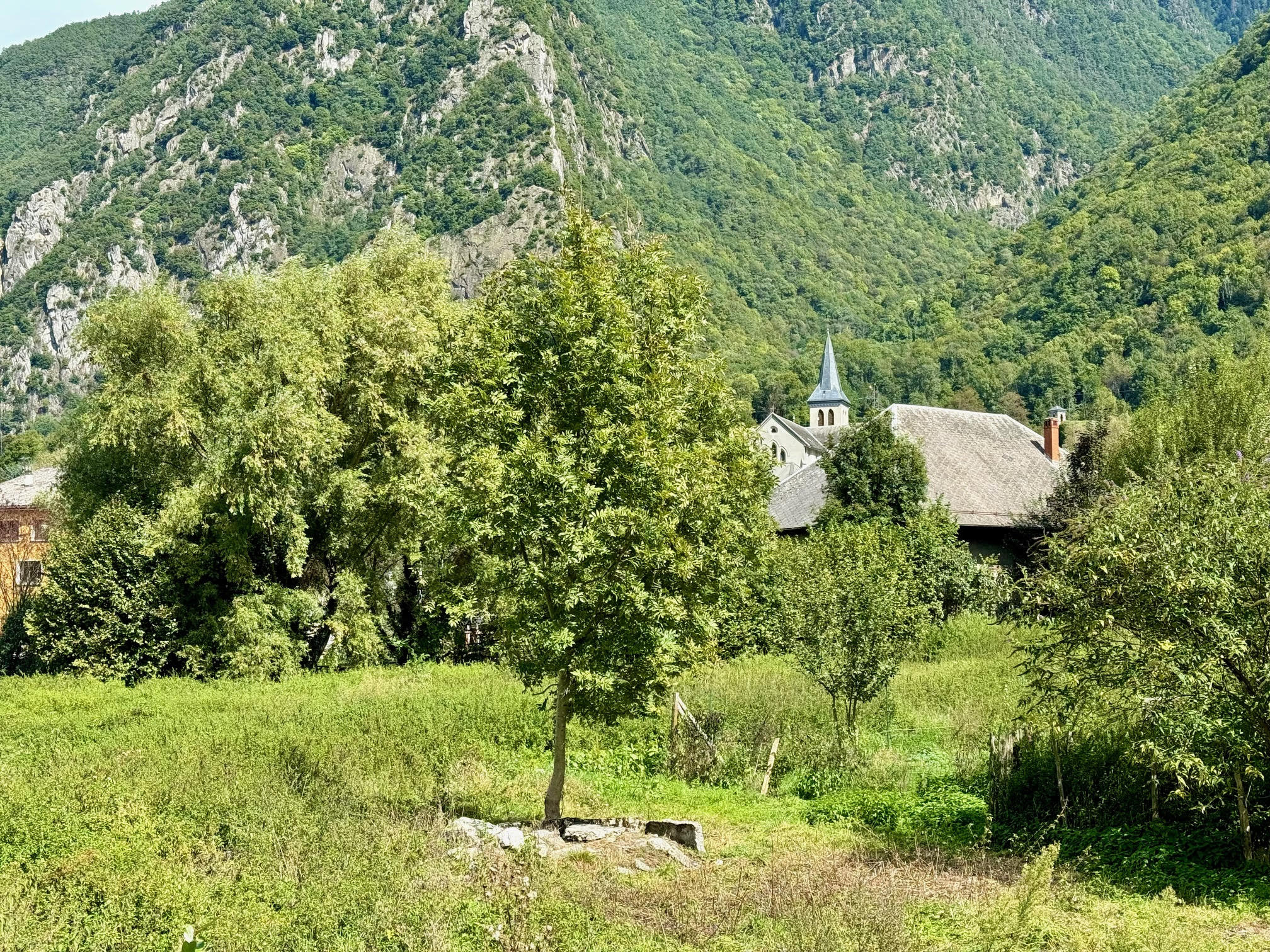 Photo 3